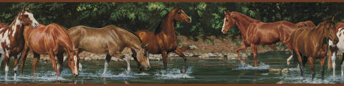York Wallcoverings - Bordura wild horses | 12,7 x 4,57 cm