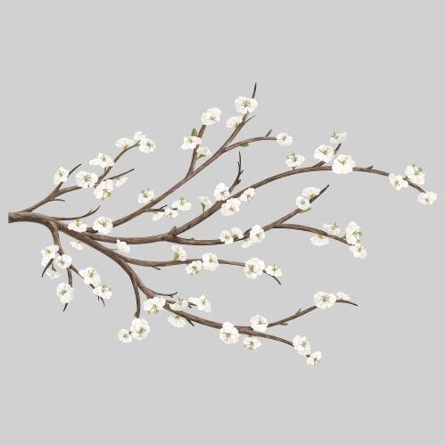 York Wallcoverings - Sticker decorativ 3d white blossom branch | 71,1 x 99,7 cm