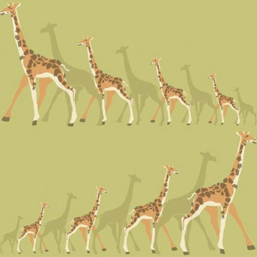 York Wallcoverings - Tapet giraffes | dw2364
