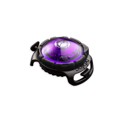 Lumină LED pentru zgardă Purple – Orbiloc