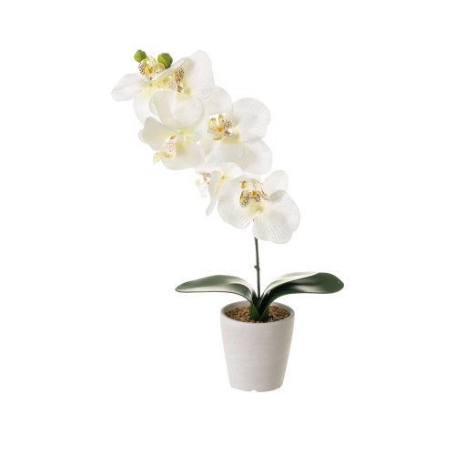 Plantă artificială Orchid – Casa Selección
