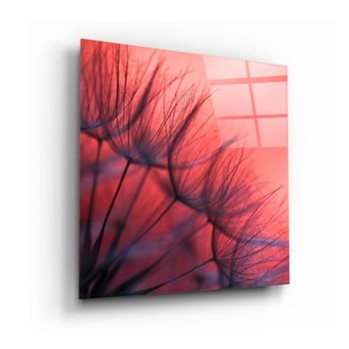 Tablou din sticlă Insigne Red Dandelion, 40 x 40 cm
