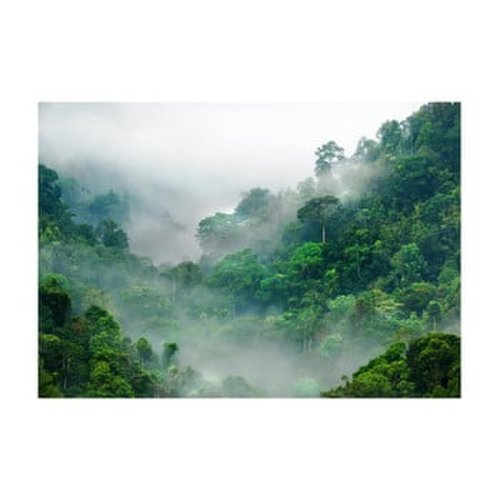 Tapet format mare Bimago Morning Fog, 400 x 280 cm