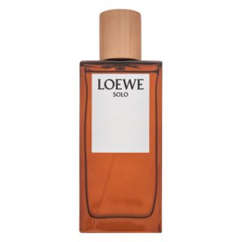Loewe Solo Loewe Pour Homme Eau de Toilette bărbați 100 ml