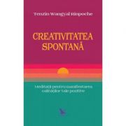 Creativitatea spontana - tenzin wangyal rinpoche