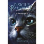 Pisicile Razboinice – Noua profetie. Cartea a X-a. Stralucirea stelelor - Erin Hunter