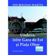 Undeva intre Gara de Est si Piata Obor - Ion Bogdan Martin