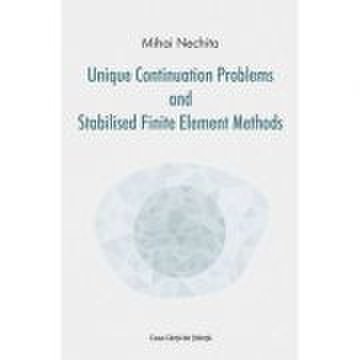 Unique continuation problems and stabilised finite element methods - Mihai Nechita