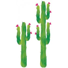 Decor cactus