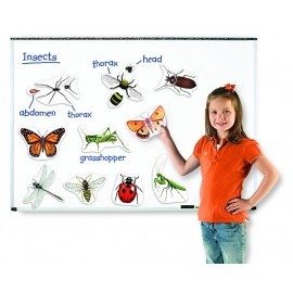 Learning Resources - Insecte magnetice mari