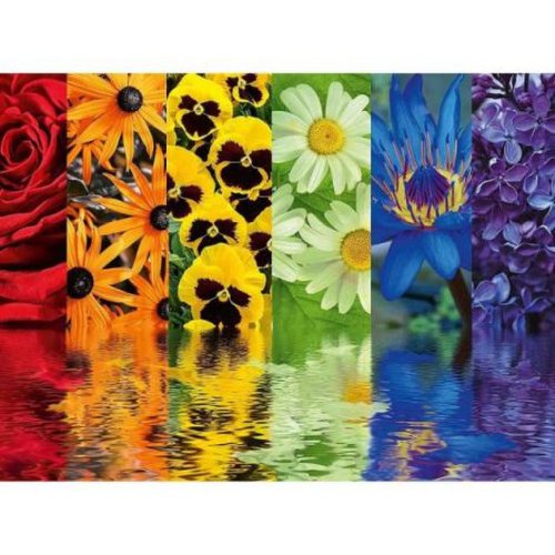 Ravensburger - Puzzle reflexia florilor, 500 piese