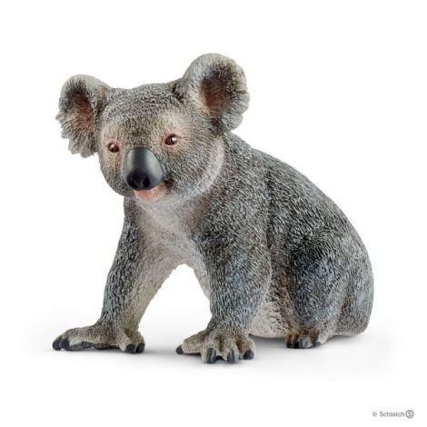 Urs koala sl14815