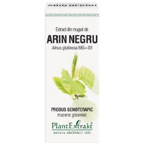 Extract Muguri Arin Negru, 50ml, Plantextrakt