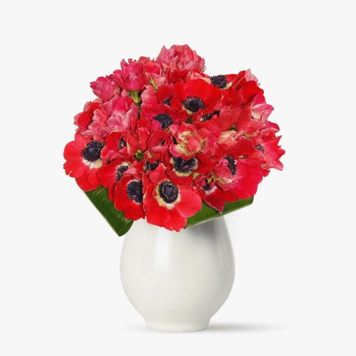 Floria - Buchet de anemone rosii - premium