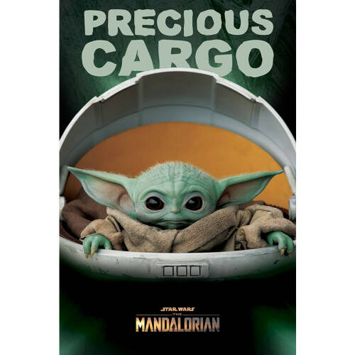 Poster Star Wars Mandalorian Precious Cargo
