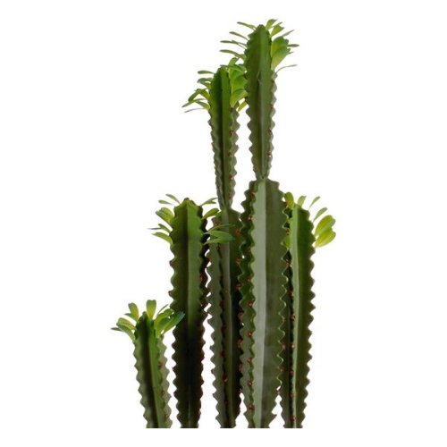 Cactus (18 x 99 x 18 cm)