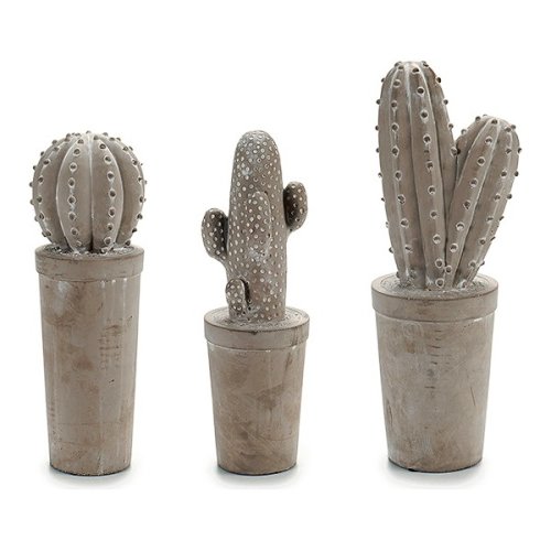 Cactus Piatră  Cactus 3 (13 x 38 x 13 cm)