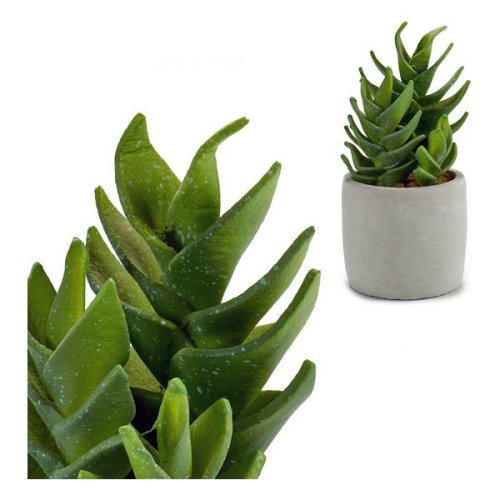 Ibergarden - Cactus plastic cactus (10,5 x 21 x 10,5cm)