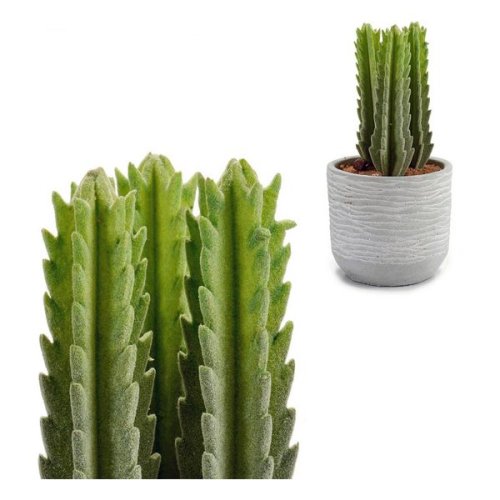 Cactus Plastic Cactus (10 x 20 x 10 cm)