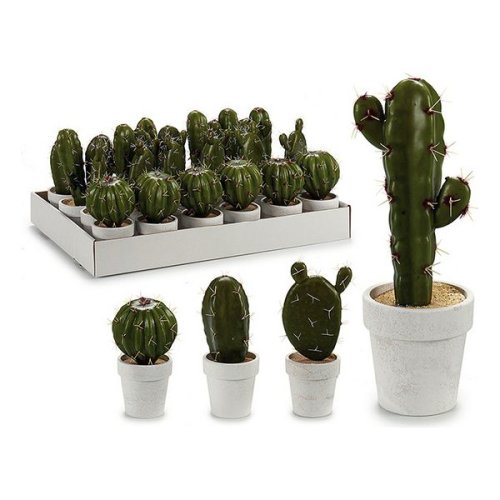 Ghiveci Albă Cactus Alb