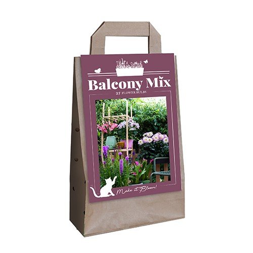 Bulbi De Vara Pentru Balcon Purple Saar