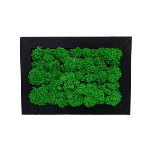 Infinity - Rama foto cu licheni elli's blooming garden, verde inchis, negru, 10x15 cm