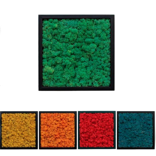Set 5 Tablouri cu licheni Elli's Blooming Garden, negru, 25x25 cm