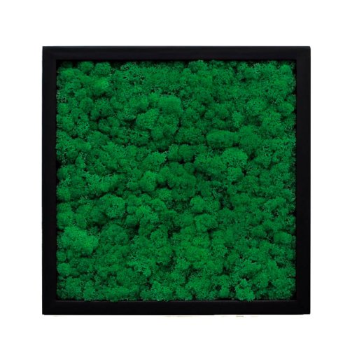 Tablou cu licheni Elli's Blooming Garden, Verde menta , negru, 25x25 cm