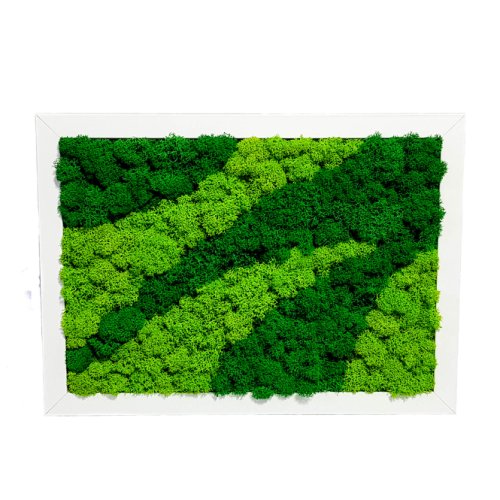 Infinity - Tablou cu licheni elli's blooming in doua culori, 21x30 cm