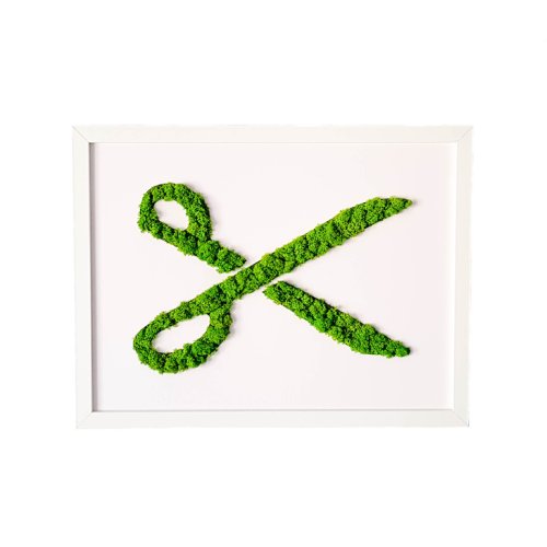 Infinity - Tablou cu licheni foarfecuta elli's blooming garden, green, verde, alb, 21x30 cm