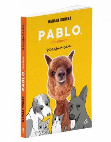 Tshirt Factory - Carte pablo the alpaca