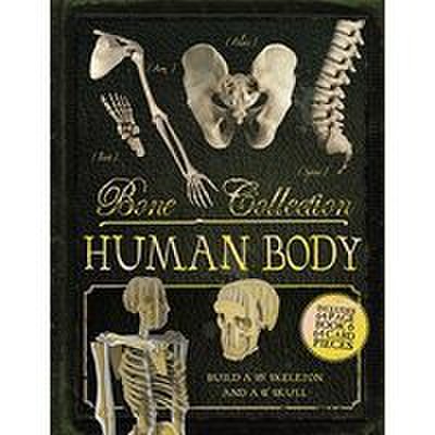 Bone Collection: Human Body