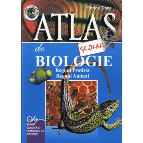 Atlas scolar de biologie-zoologic. Regnul protista si regnul animal - Florica Tibea