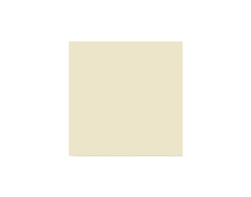 Gresie portelanata crem Ivory Plain, 60x60 cm