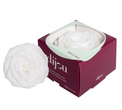 Trandafir ALB Natural Criogenat Premium cu diametru 10cm + cutie cadou