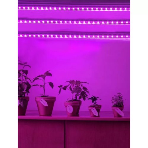 Lumina LED pentru cresterea plantelor - 1 m