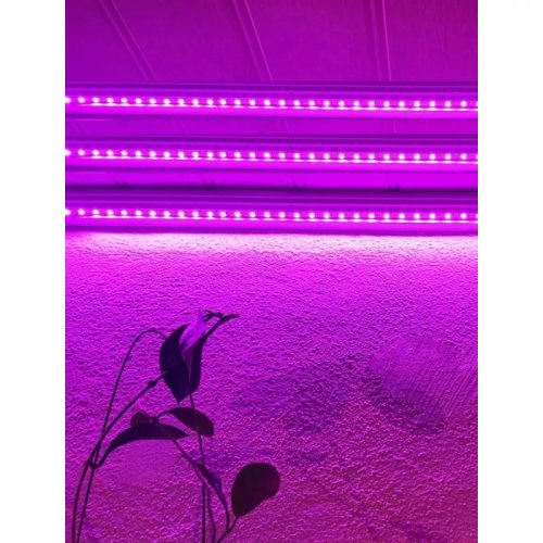 Lumina LED pentru cresterea plantelor - 2 m