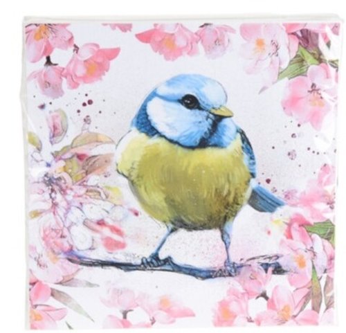 Excellent Houseware - Servetele bird, 33x33 cm, hartie, verde/albastru