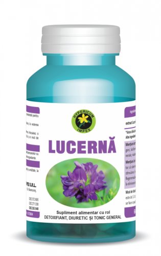 Lucerna 60cps - hypericum plant