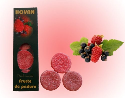 Lumanari pastila parfumate fructe padure 4b - HOVAN